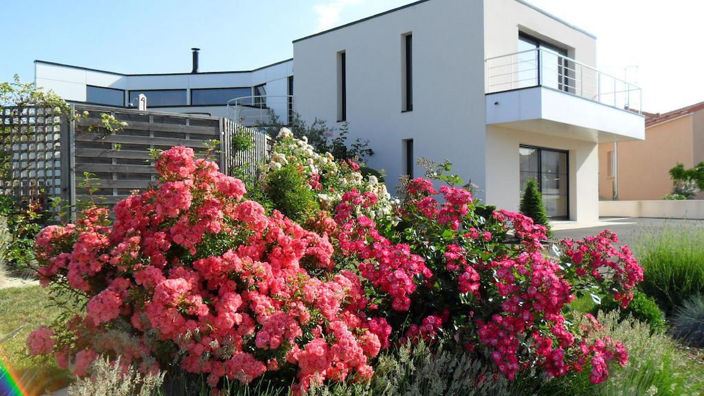 Amazone 49 Bed and Breakfast Cholet Exterior foto